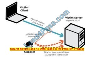 Latest CEH V12 dumps exam questions 1-1